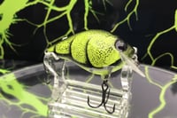 Image 2 of SPEEDBAITS Custom Airbrushed BFS Crankbait 2643