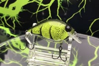 Image 4 of SPEEDBAITS Custom Airbrushed BFS Crankbait 2643