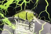 Image 2 of SPEEDBAITS Custom Airbrushed Crankbait 2682