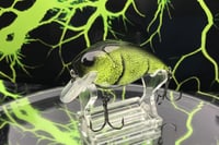Image 1 of SPEEDBAITS Custom Airbrushed Crankbait 2682