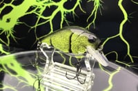Image 5 of SPEEDBAITS Custom Airbrushed Crankbait 2682