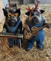 Image 7 of MIDSOMMAR FARM DINNER