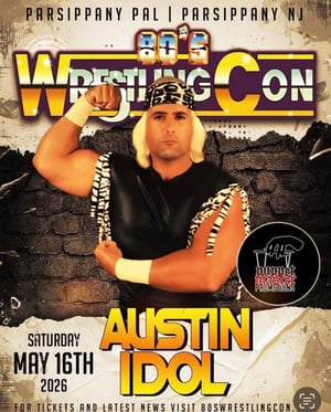 Image of The Ultimate Critique From Austin Idol