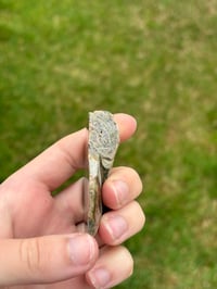 Image 4 of Ammonite Fossil #1