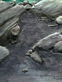 Image 5 of Floe Lake Sunrise