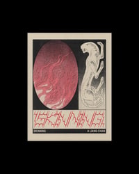 Image 1 of SKINNING (2nd edition)