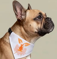 Clip-On Pet Bandana — HFA