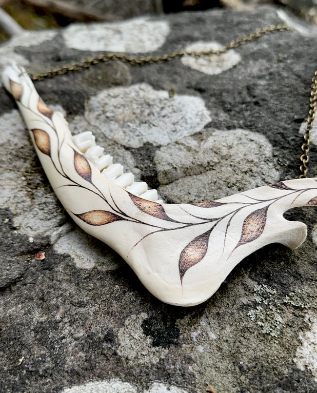 Folium Deer Jaw