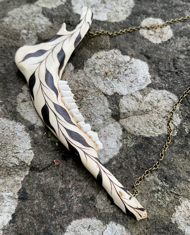 Vinea Deer Jaw