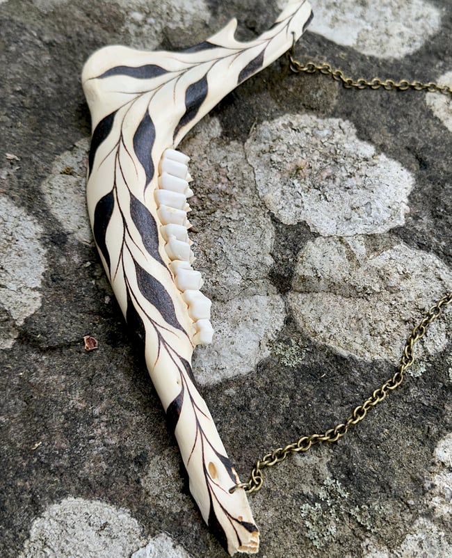 Vinea Deer Jaw
