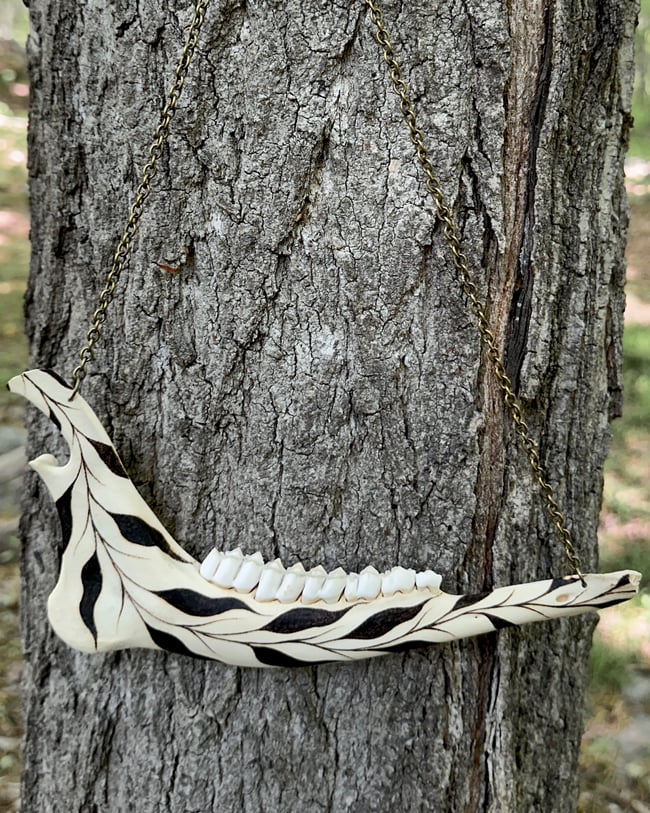 Vinea Deer Jaw