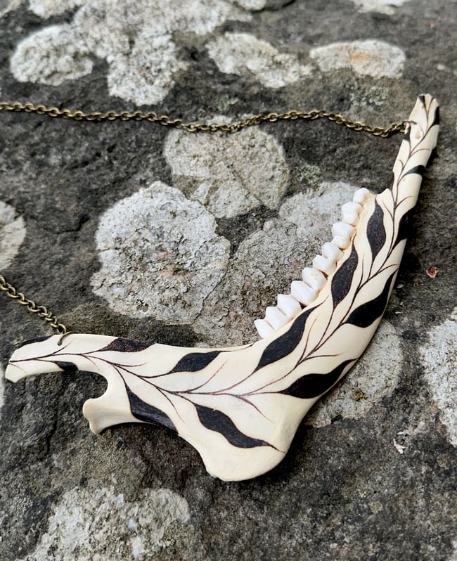 Vinea Deer Jaw