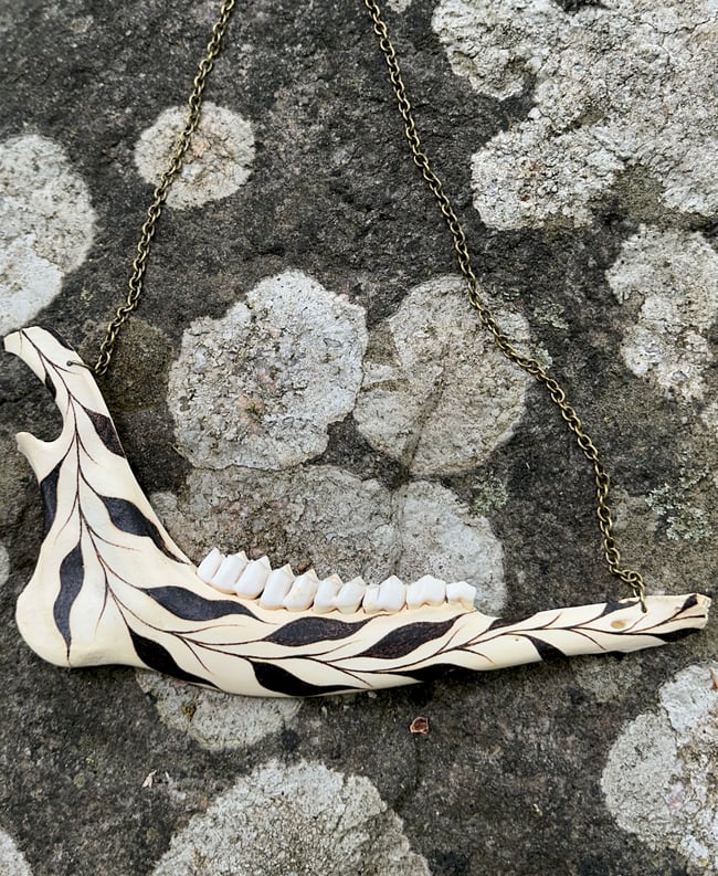Vinea Deer Jaw