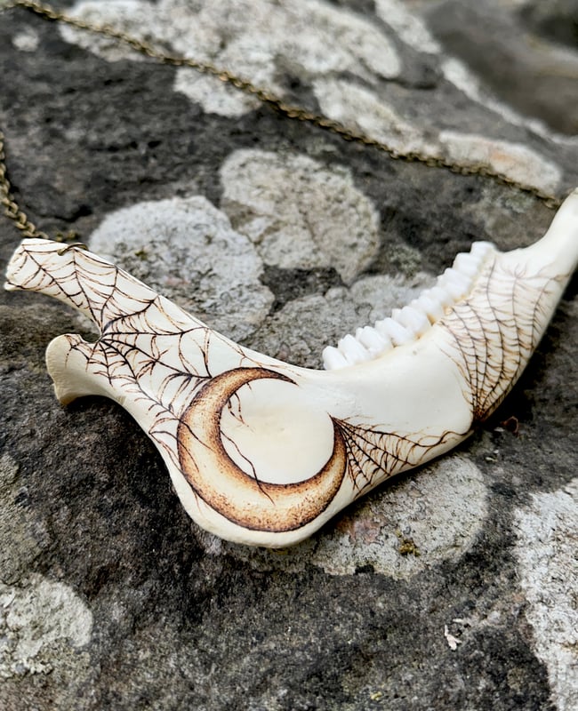 Luna Deer Jaw