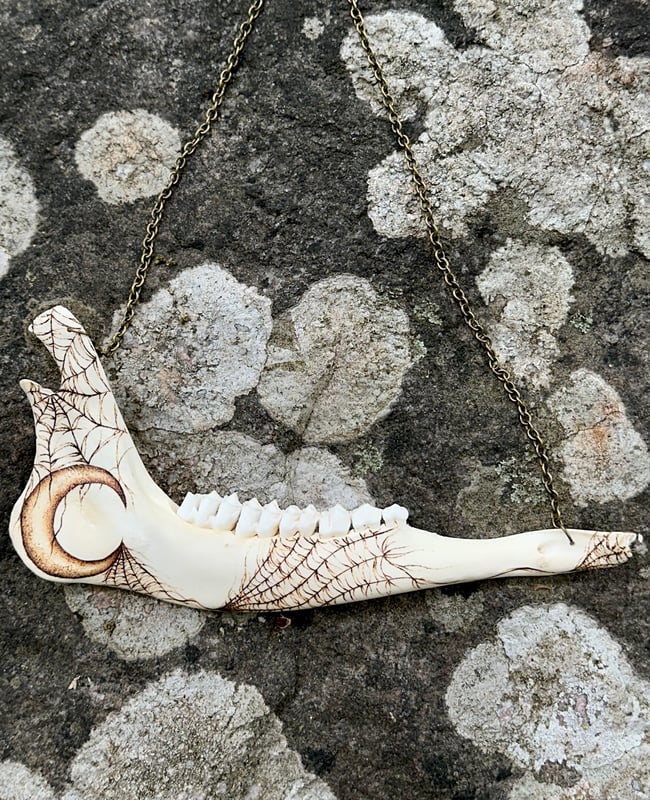 Luna Deer Jaw