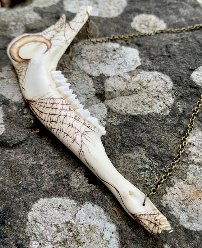 Luna Deer Jaw