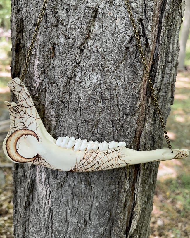 Luna Deer Jaw