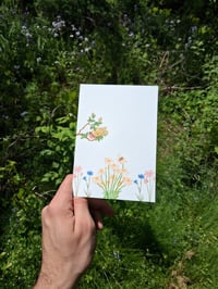 Image 5 of Floral Folding Cards