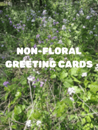 Image 1 of Non-Floral Folding Cards