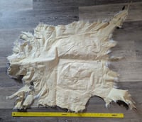 Image 2 of Goat Skin Rug