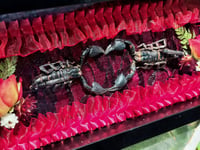 Image 2 of Dangerous Romance