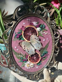 Image 1 of Pretty in Pink