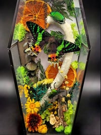 Sunset Coffin