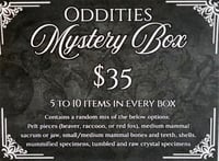 Image 2 of Oddities Mystery Boxes