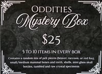 Image 1 of Oddities Mystery Boxes