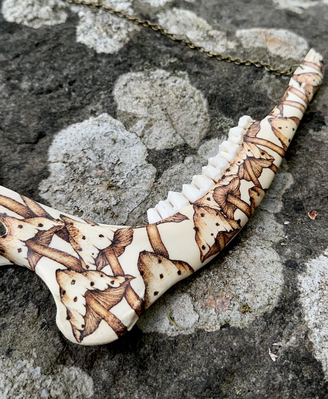 Fungi Deer Jaw