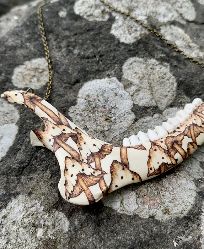 Fungi Deer Jaw