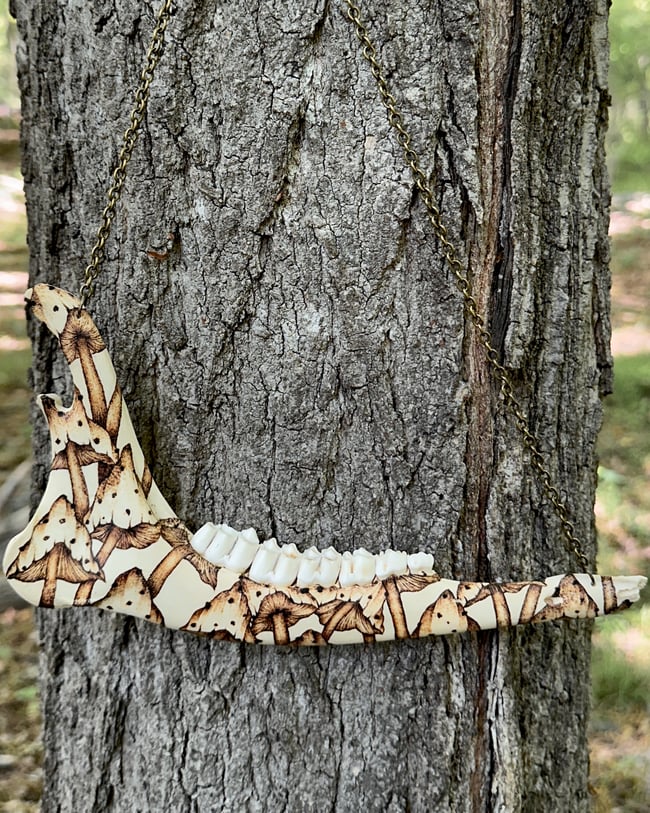 Fungi Deer Jaw