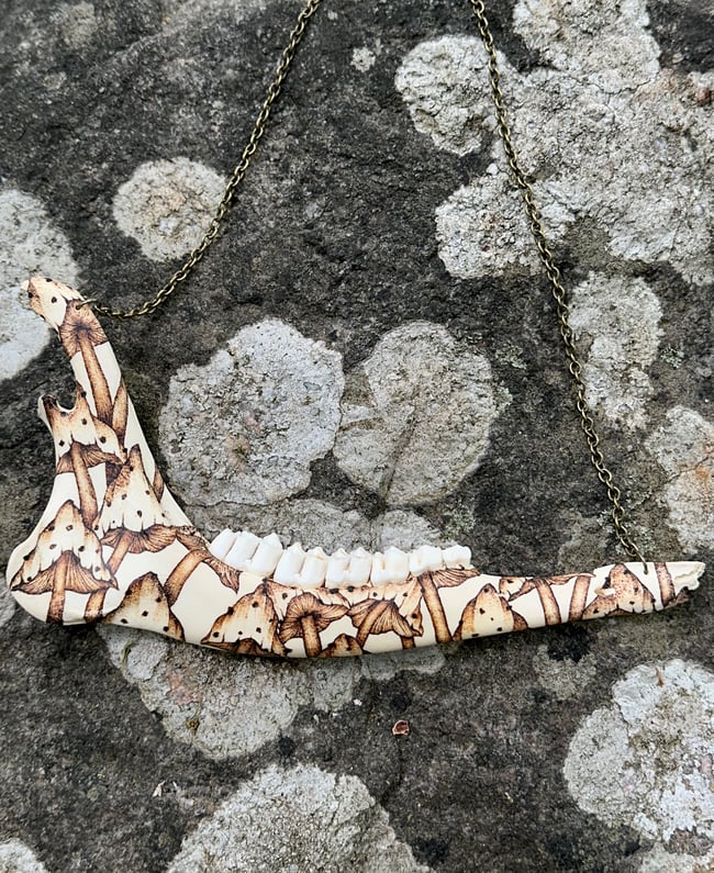 Fungi Deer Jaw