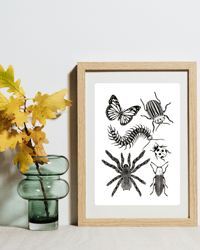 Insect Print, Art Print, A5, Wall Art, Home Decor