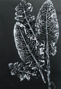 Image 3 of Dandelions and Tobacco - handcut monoprint framed