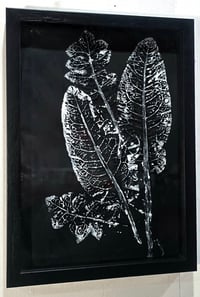 Image 1 of Dandelions and Tobacco - handcut monoprint framed