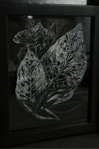 Image 1 of Dandelions and Tobacco 2 - handcut monoprint framed