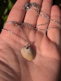 Image 2 of Seashell & Narcissus Flower Necklace