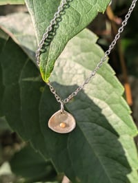 Image 1 of Mini Seashell Necklace