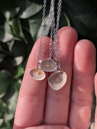 Image 3 of Mini Seashell Necklace