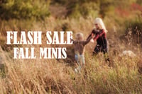 Image 1 of FALL MINIS ***FLASH SALE