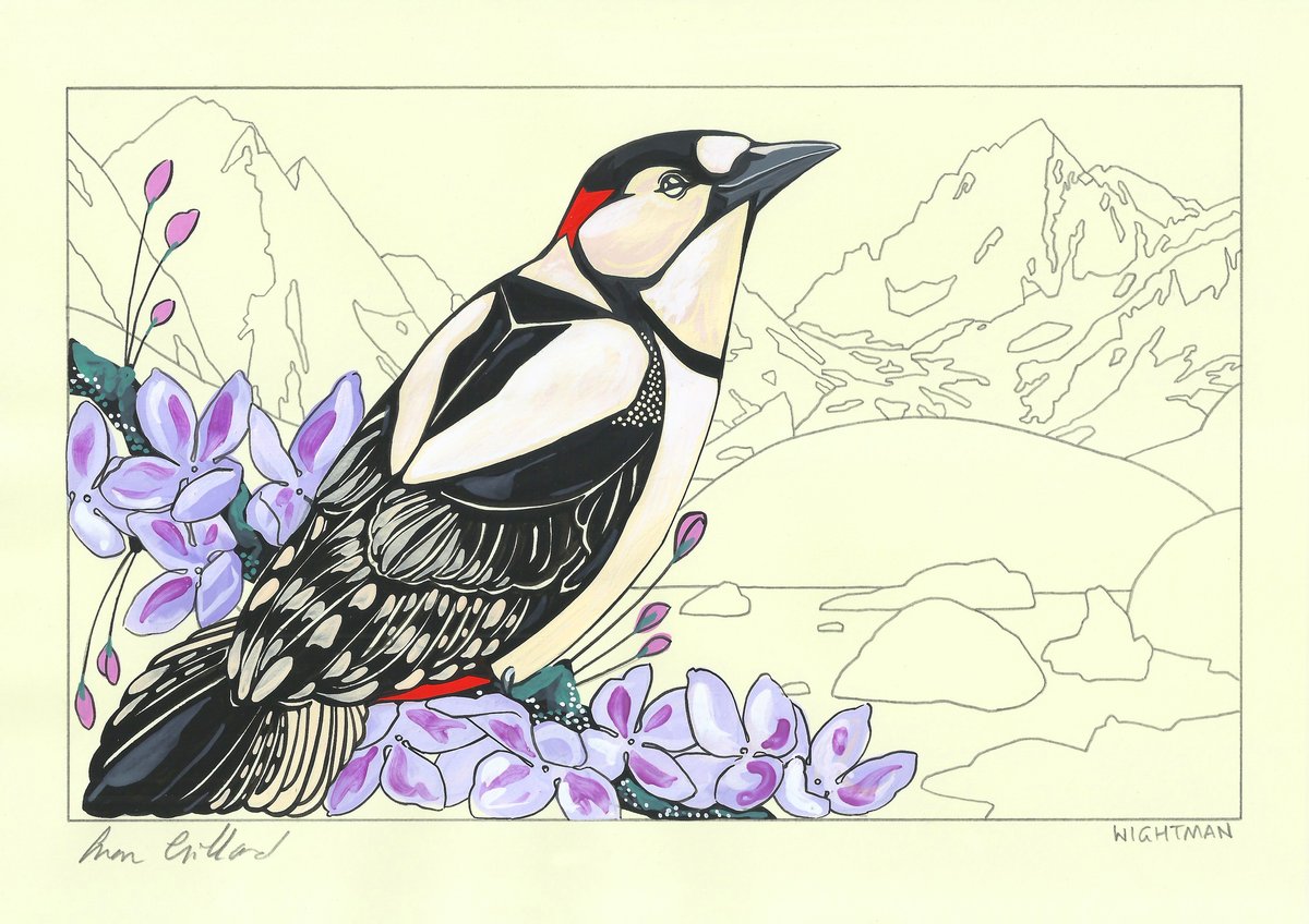Image of Greater Spotted Woodpecker and Ottoline