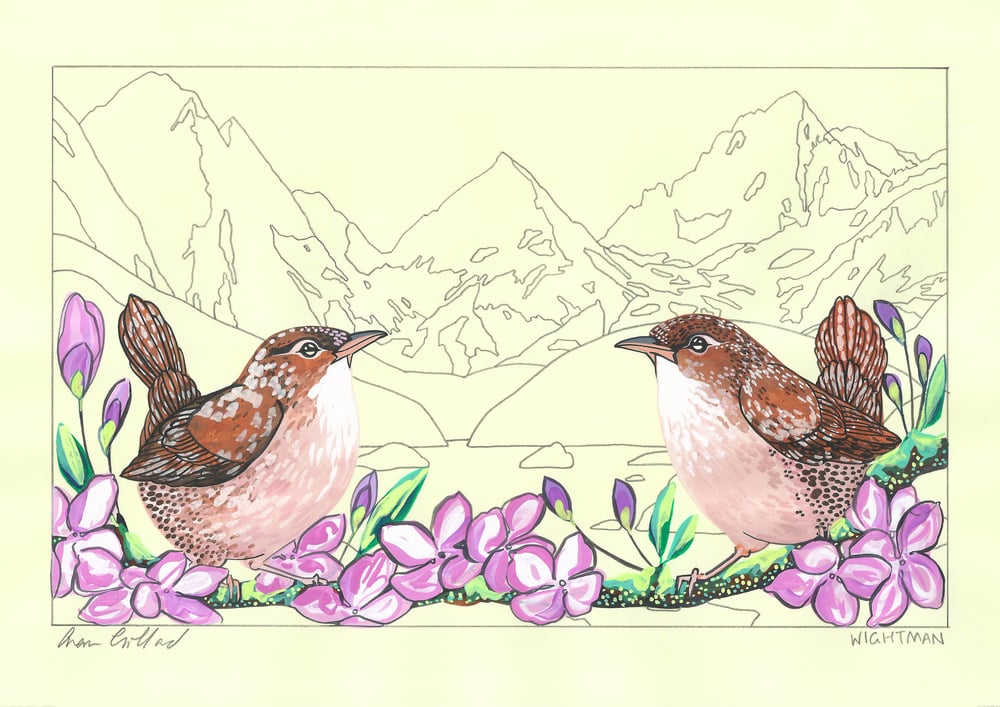 Image of Wrens and Ottoline
