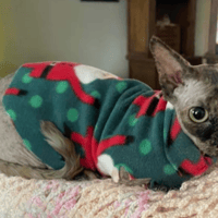 Image 1 of Cat clothes