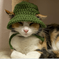 Image 1 of Cat Bucket Hat