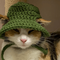Image 2 of Cat Bucket Hat