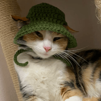 Image 3 of Cat Bucket Hat