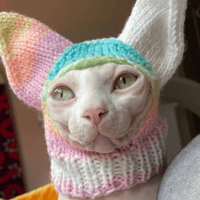 Image 1 of Handmade warm soft cat