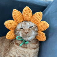 Image 1 of Flower Cat Hat
