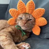 Image 2 of Flower Cat Hat